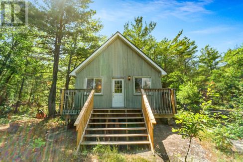 28591632-21.jpg