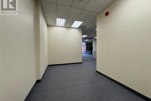 29028620-1.jpg