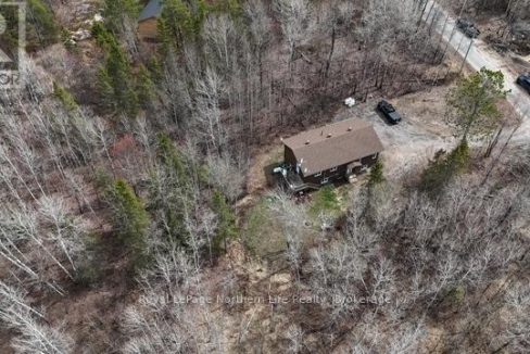 29333116-4.jpg