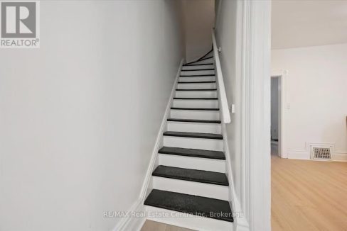 29383899-4.jpg