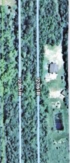 29423750-1.jpg