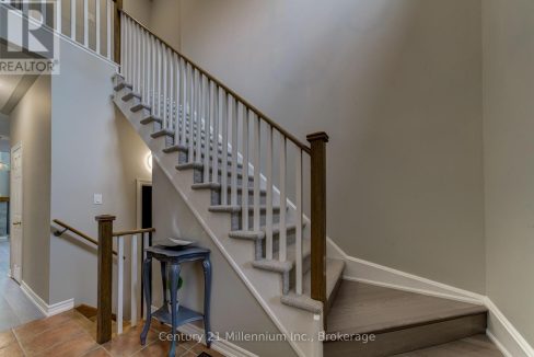 29497085-25.jpg