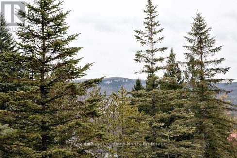 29520927-23.jpg