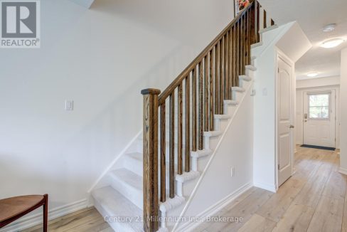 29595098-19.jpg