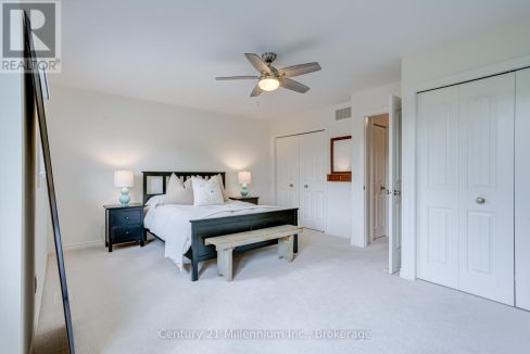 29595098-23.jpg