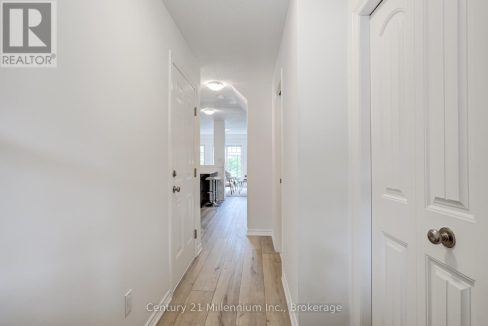 29595098-6.jpg
