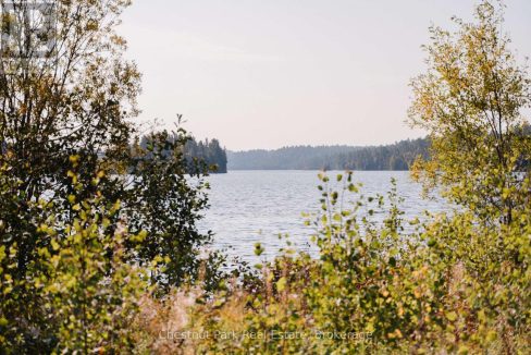 29639253-8.jpg