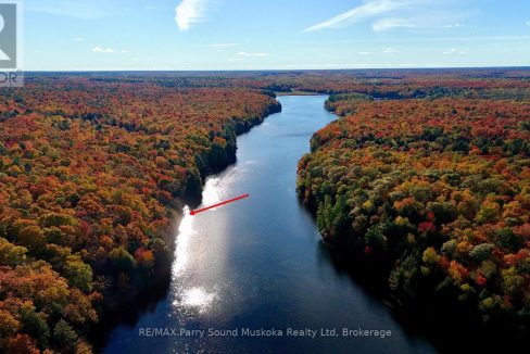29652870-5.jpg