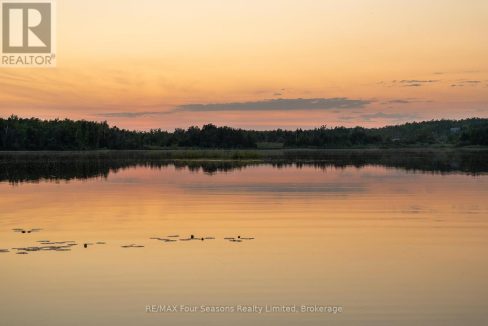 29662364-5d16d9cce5-37.jpg