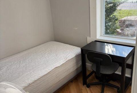 29677853-5.jpg