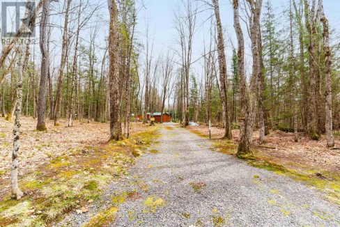29715061-5.jpg