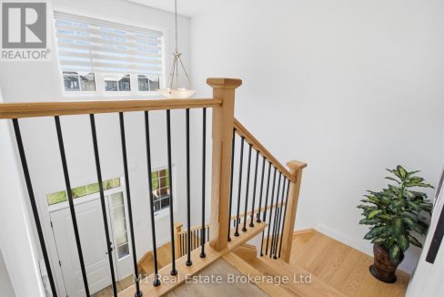 29738706-14.jpg