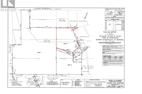 29782262-9.jpg