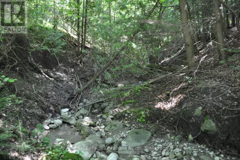 29806482-10.jpg