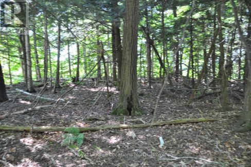 29806482-3.jpg