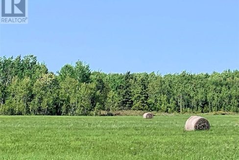 29878706-4.jpg