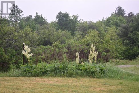 29884326-4260831ad1-19.jpg