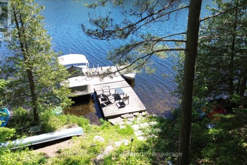 29887692-8.jpg
