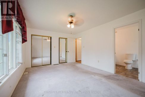 29905446-11.jpg