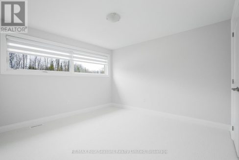 29908792-29.jpg