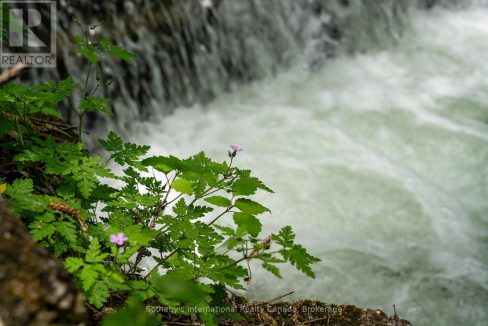 29977642-7af039a23c-6.jpg